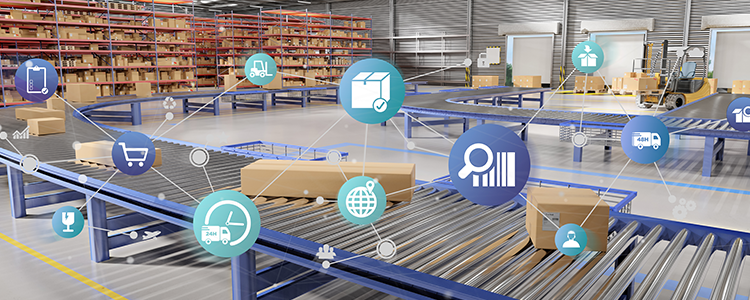 Supply Chain